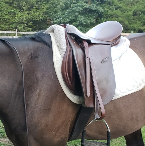 Meet your Posher, Wendy - Picture 3 of 6